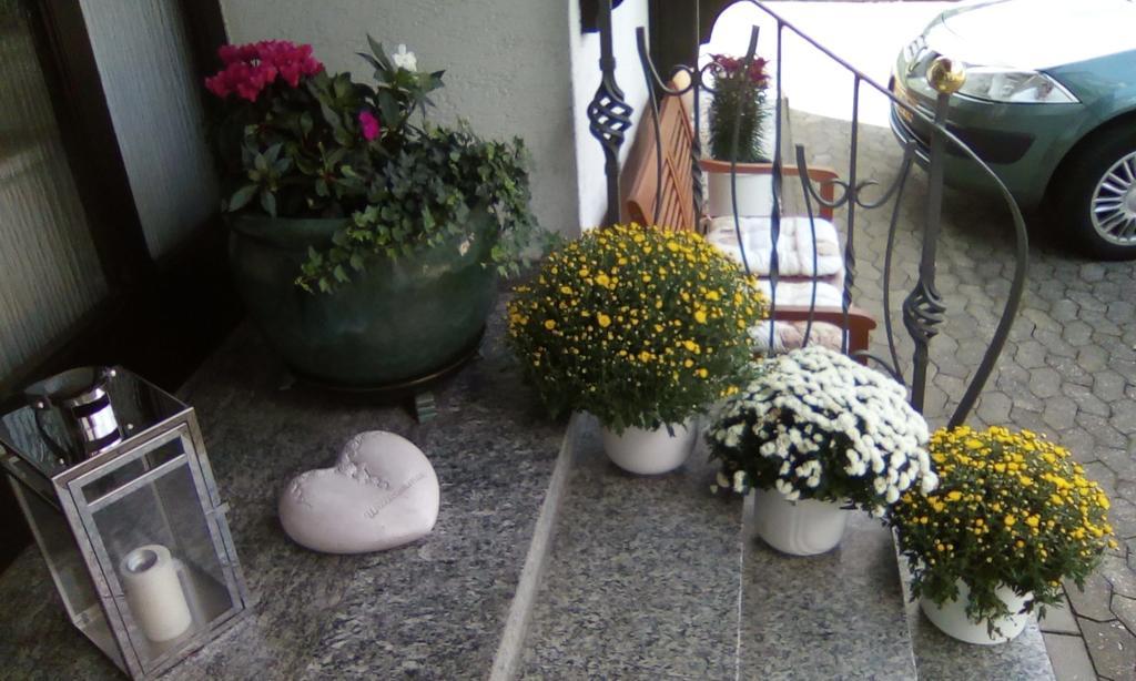 エルンスト Haus Reitz Bed & Breakfast エクステリア 写真